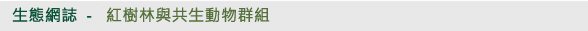 生態網誌 - 紅樹林與共生動物群組